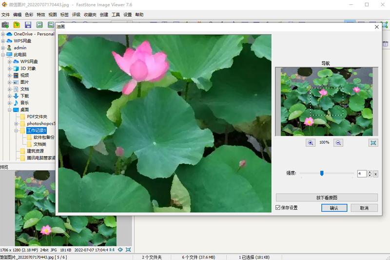 FastStone Image Viewer