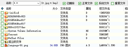 Diskgenius專業版