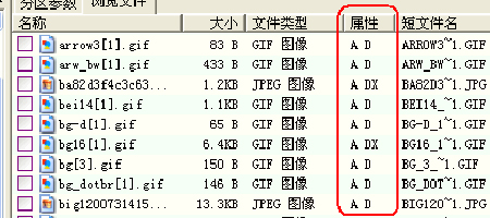 Diskgenius專業版