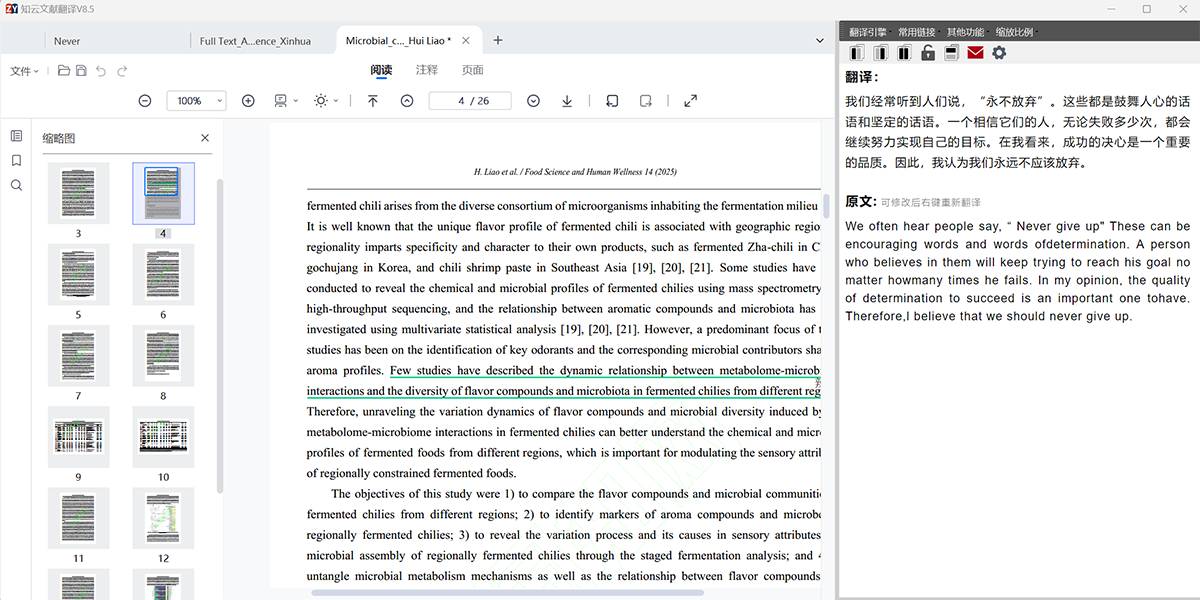 知雲文獻翻譯截圖6