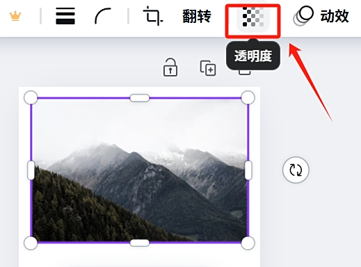Canva可畫
