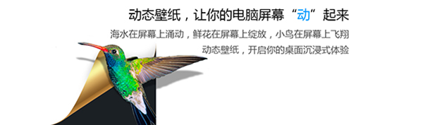 小鳥壁紙