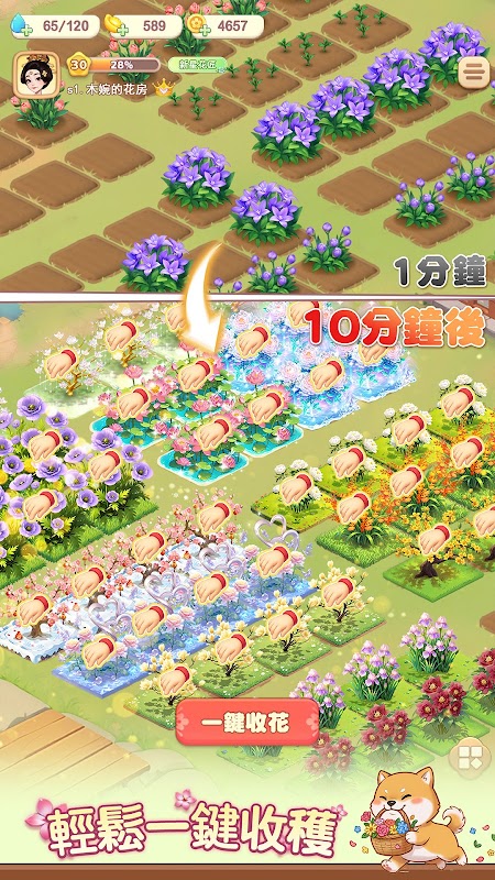 我的花園世界 - 真的收到花！ 截圖 5
