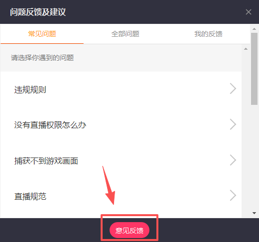 快手直播伴侶