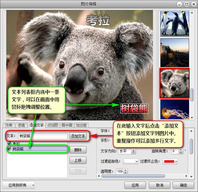 艾奇視頻電子相冊製作軟件