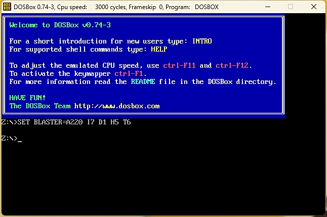 DOSBox