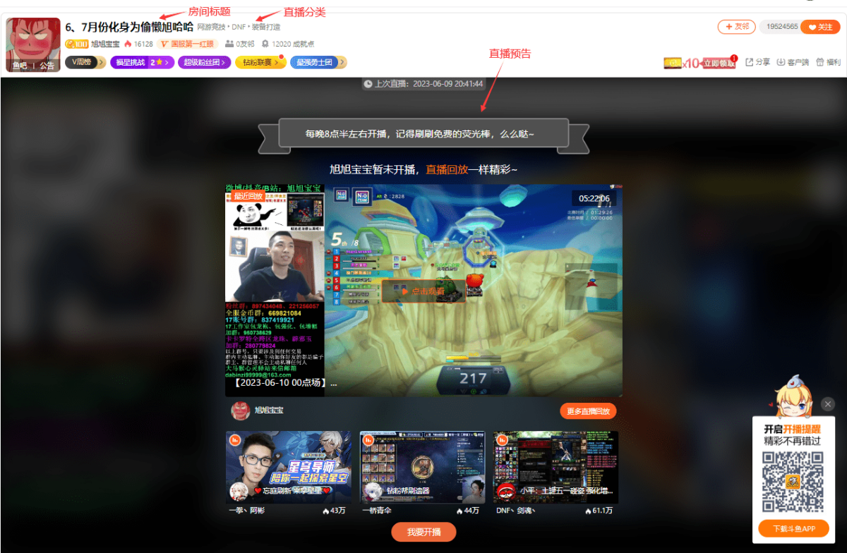 鬥魚直播伴侶