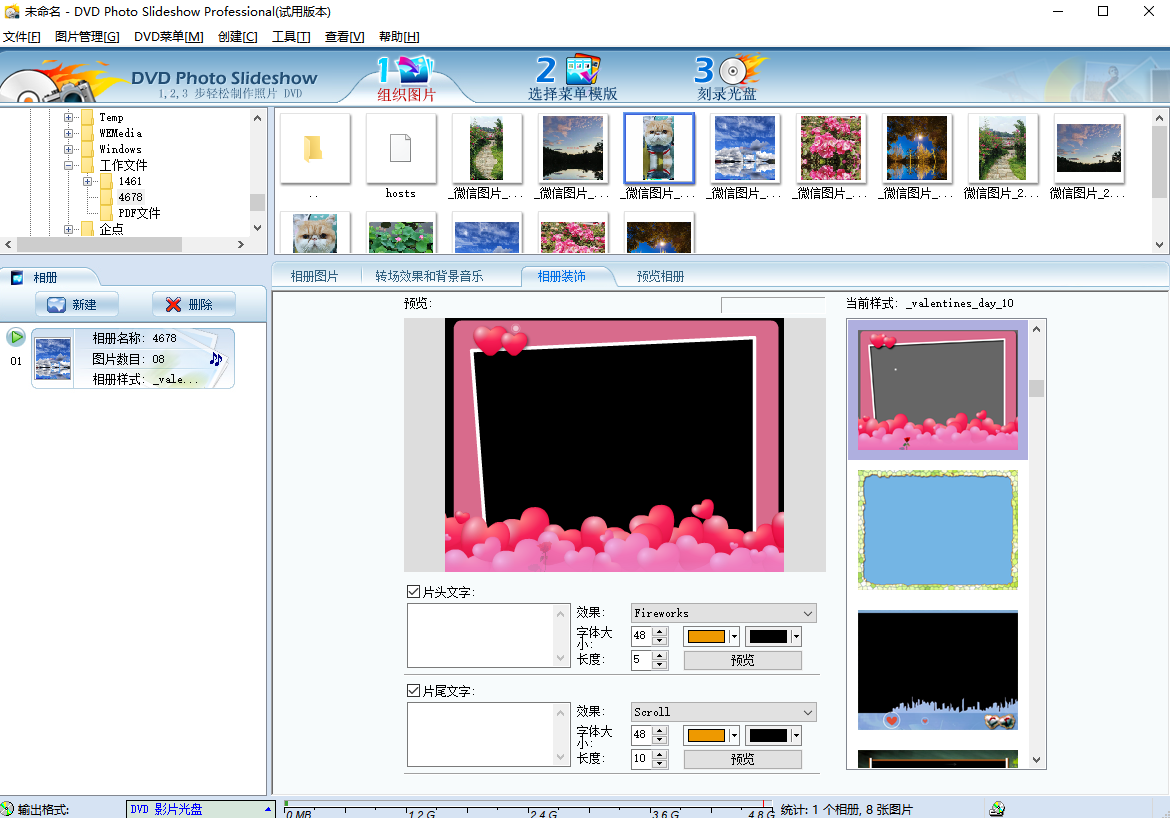 DVD Photo Slideshow Professional截圖3